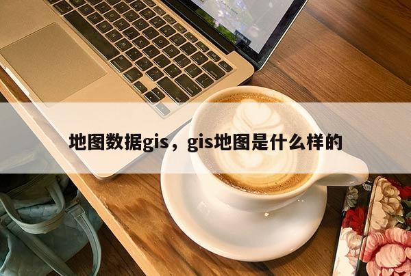 地图数据gis，gis地图是什么样的