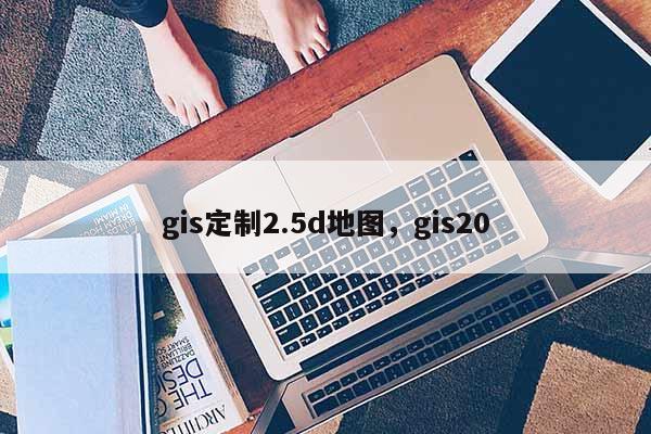 gis定制2.5d地图,gis20 gis定制2.5d地图,gis20