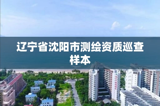 辽宁省沈阳市测绘资质巡查样本