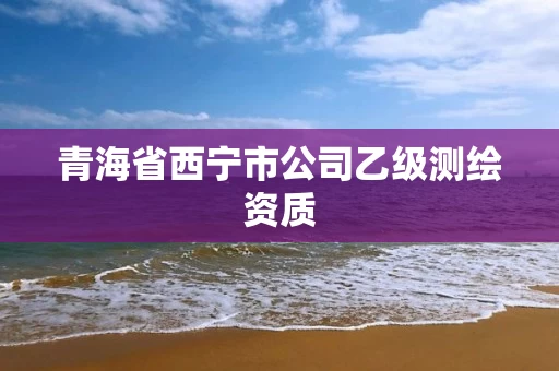 青海省西宁市公司乙级测绘资质 青海省西宁市公司乙级测绘资质