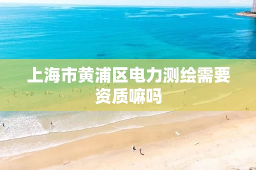 上海市黄浦区电力测绘需要资质嘛吗
