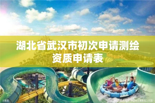 湖北省武汉市初次申请测绘资质申请表