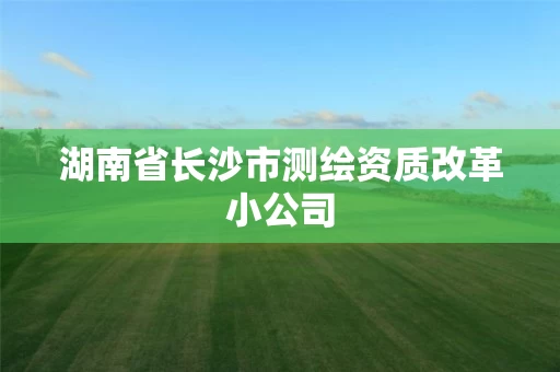 湖南省长沙市测绘资质改革小公司