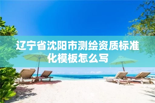 辽宁省沈阳市测绘资质标准化模板怎么写