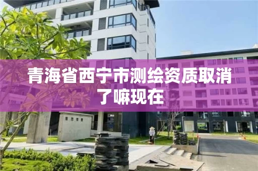 青海省西宁市测绘资质取消了嘛现在