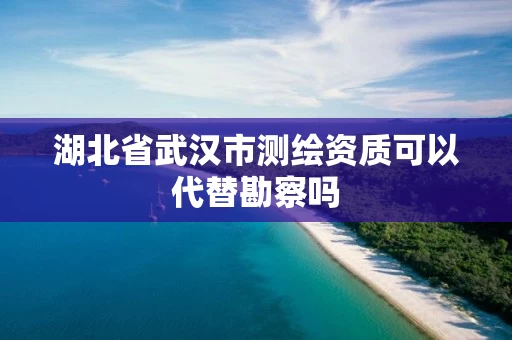 湖北省武汉市测绘资质可以代替勘察吗