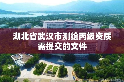 湖北省武汉市测绘丙级资质需提交的文件