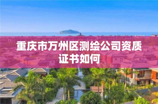 重庆市万州区测绘公司资质证书如何 重庆市万州区测绘公司资质证书如何