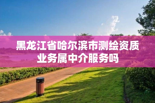 黑龙江省哈尔滨市测绘资质业务属中介服务吗 黑龙江省哈尔滨市测绘资质业务属中介服务吗