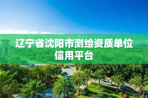 辽宁省沈阳市测绘资质单位信用平台