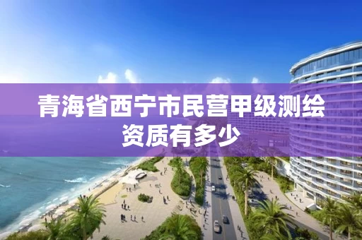 青海省西宁市民营甲级测绘资质有多少
