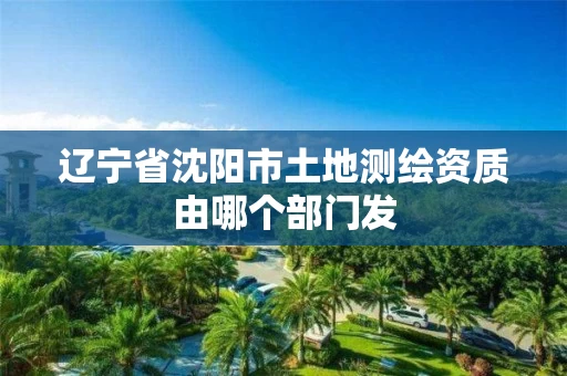 辽宁省沈阳市土地测绘资质由哪个部门发