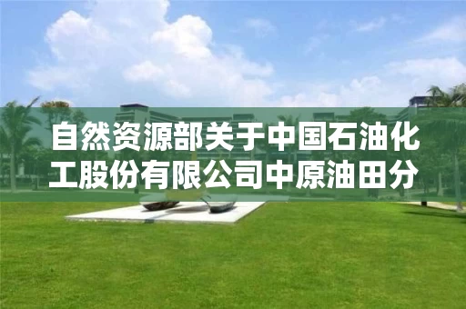 自然资源部关于中国石油化工股份有限公司中原油田分公司山东东濮凹陷徐14-32区块油气开采等5个矿山地质环境保护与土地复垦方案通过审查的公告