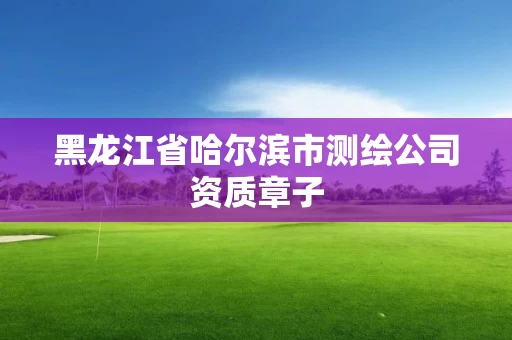 黑龙江省哈尔滨市测绘公司资质章子 黑龙江省哈尔滨市测绘公司资质章子