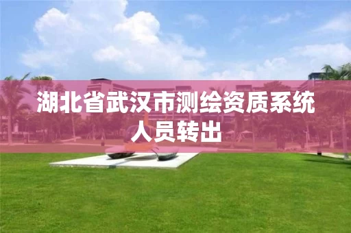 湖北省武汉市测绘资质系统人员转出 湖北省武汉市测绘资质系统人员转出