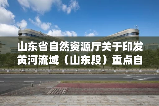 山东省自然资源厅关于印发黄河流域（山东段）重点自然资源统一确权登记工作方案的通知