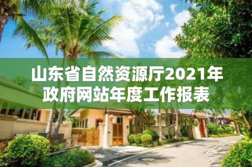 山东省自然资源厅2021年政府网站年度工作报表