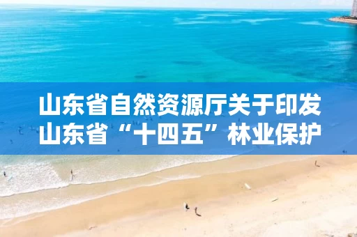山东省自然资源厅关于印发山东省“十四五”林业保护发展规划的通知