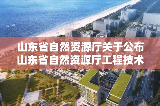 山东省自然资源厅关于公布山东省自然资源厅工程技术职务资格中初级评审委员会2021年度评审结果的通知