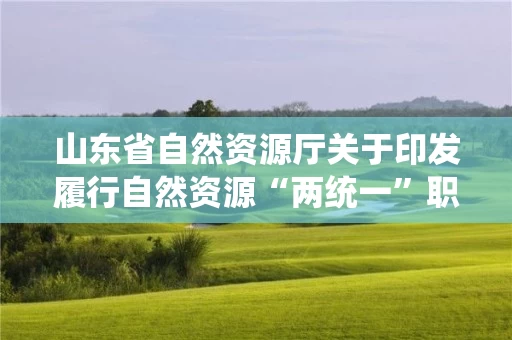 山东省自然资源厅关于印发履行自然资源“两统一”职责服务保障高质量发展政策清单（生态修复类）的通知