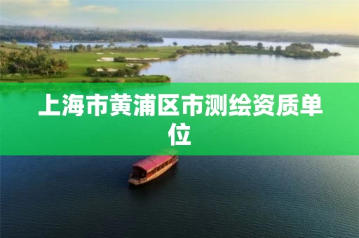 上海市黄浦区市测绘资质单位 上海市黄浦区市测绘资质单位