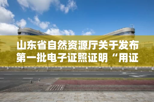 山东省自然资源厅关于发布第一批电子证照证明“用证”事项清单的公告