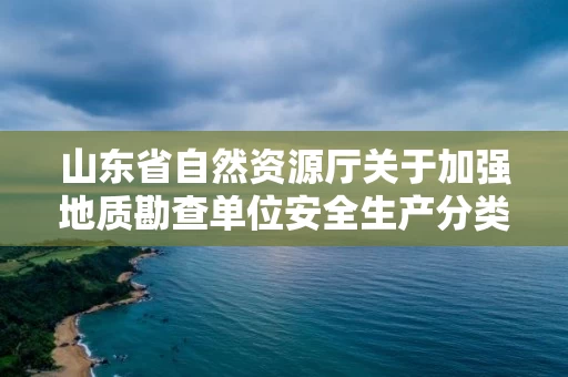 山东省自然资源厅关于加强地质勘查单位安全生产分类分级监督管理工作的通知