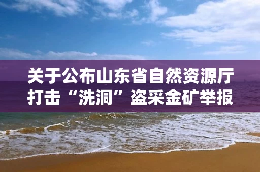 关于公布山东省自然资源厅打击“洗洞”盗采金矿举报方式的公告