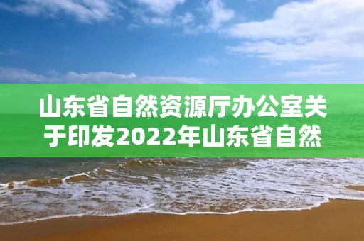 山东省自然资源厅办公室关于印发2022年山东省自然资源厅政务公开工作要点的通知