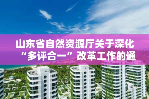 山东省自然资源厅关于深化“多评合一”改革工作的通知