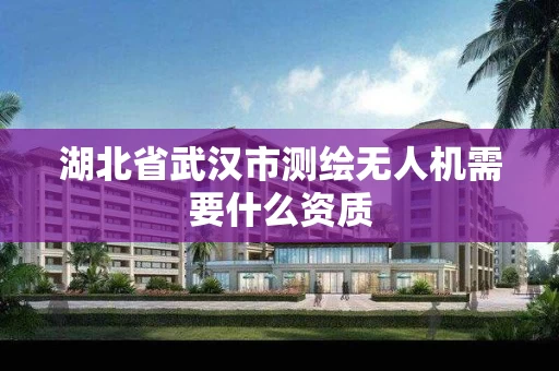 湖北省武汉市测绘无人机需要什么资质