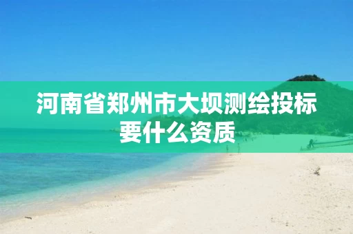 河南省郑州市大坝测绘投标要什么资质
