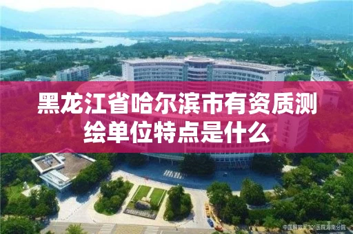 黑龙江省哈尔滨市有资质测绘单位特点是什么