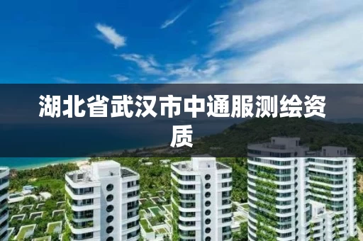 湖北省武汉市中通服测绘资质 湖北省武汉市中通服测绘资质