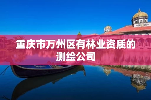 重庆市万州区有的测绘公司