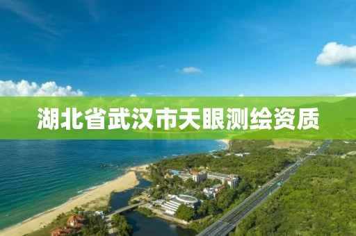 湖北省武汉市天眼测绘资质