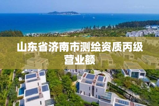 山东省济南市测绘资质丙级营业额