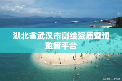 湖北省武汉市测绘资质查询监管平台
