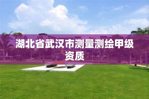 湖北省武汉市测量测绘甲级资质