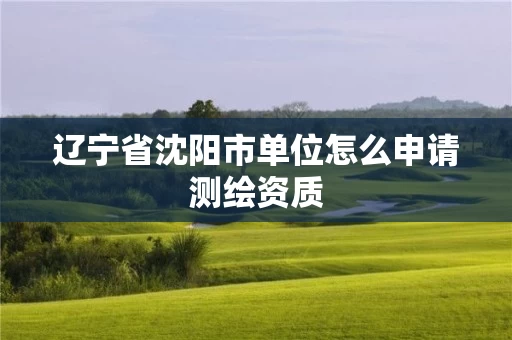 辽宁省沈阳市单位怎么申请测绘资质
