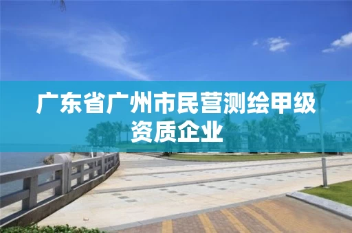 广东省广州市民营测绘甲级资质企业