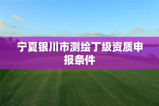 宁夏银川市测绘丁级资质申报条件 宁夏银川市测绘丁级资质申报条件