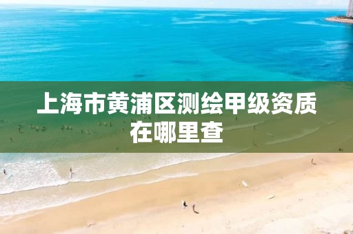 上海市黄浦区测绘甲级资质在哪里查
