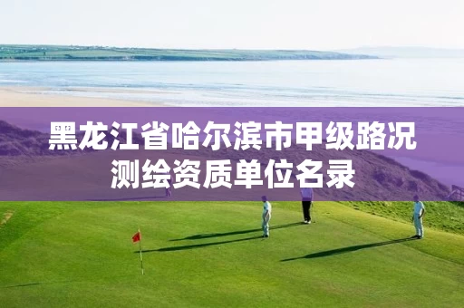 黑龙江省哈尔滨市甲级路况测绘资质单位名录