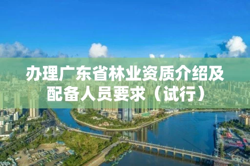 办理广东省介绍及配备人员要求（试行）