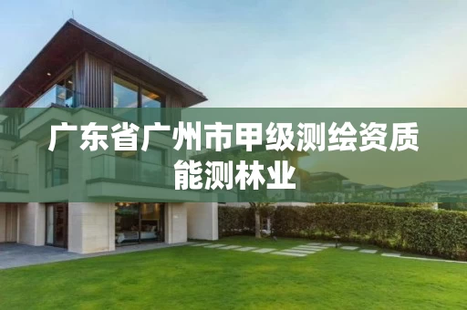 广东省广州市甲级测绘资质能测林业 广东省广州市甲级测绘资质能测林业