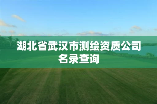 湖北省武汉市测绘资质公司名录查询