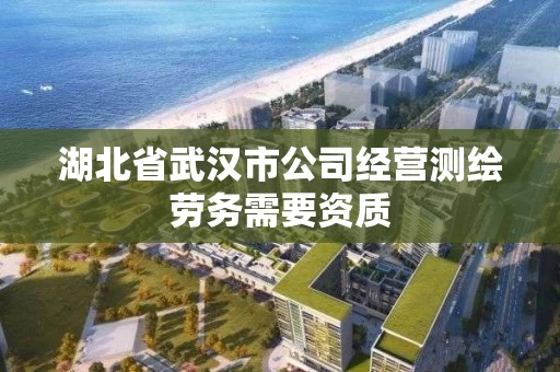 湖北省武汉市公司经营测绘劳务需要资质