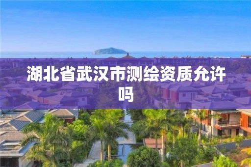 湖北省武汉市测绘资质允许吗