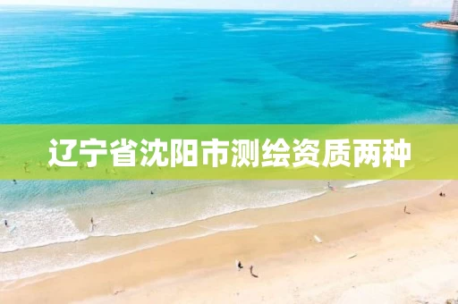 辽宁省沈阳市测绘资质两种